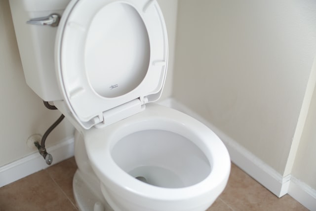 A toilet